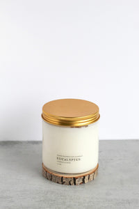 Eucalyptus Double Wick Soy Candle, Hand Poured, Natural, Eco Friendly, Earthy Scent, 12 oz Jar